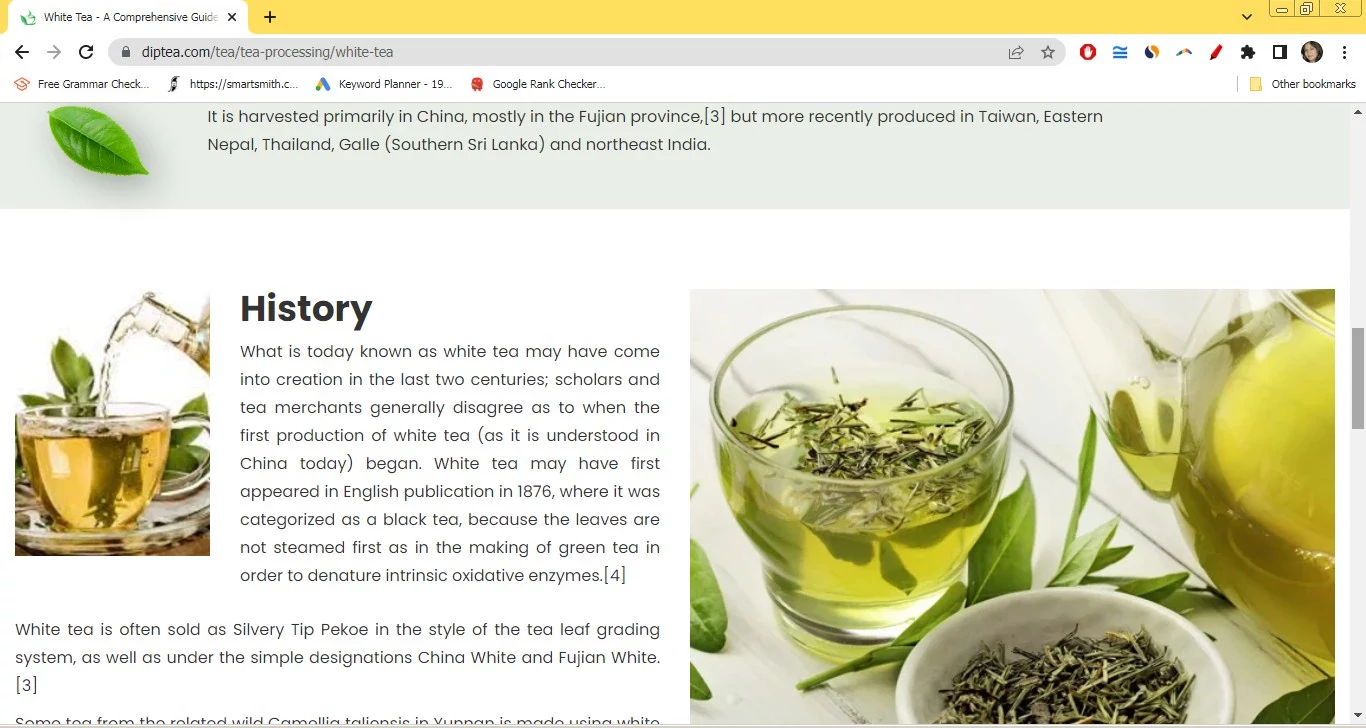 Dip Tea Website Screenshot Business Sale Digiown